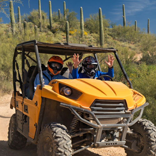 Off road desert activity in the Sonoran desert where you can see gorgeous landscape and wildlife.