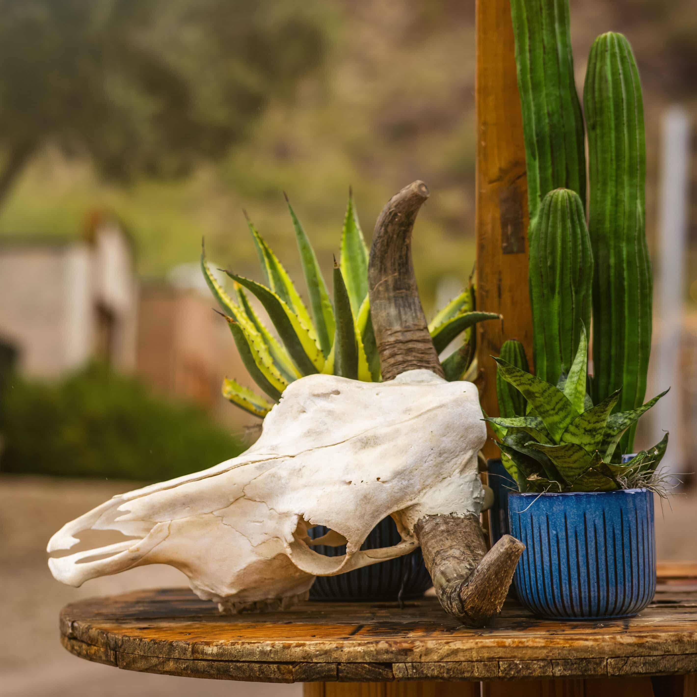 CK9A1709-Enhanced-NR